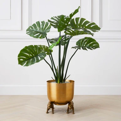 Nikki Chu - Jaguar Planter - Image 4