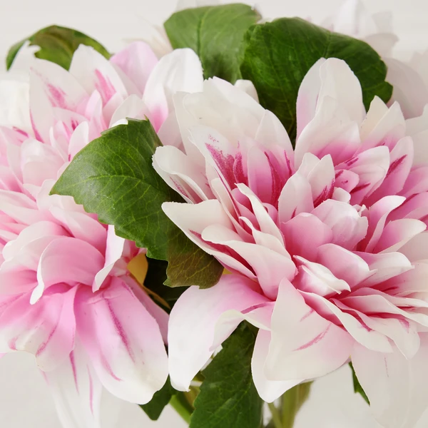 Dahlia In Glass - Blush - Image 2