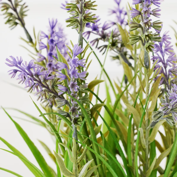 Lavender In Grey Pot - Image 3