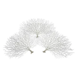Faux Coral Fan - Set Of 3