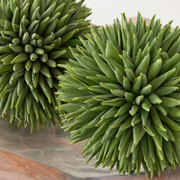 Faux Allium Sphere - Image 3