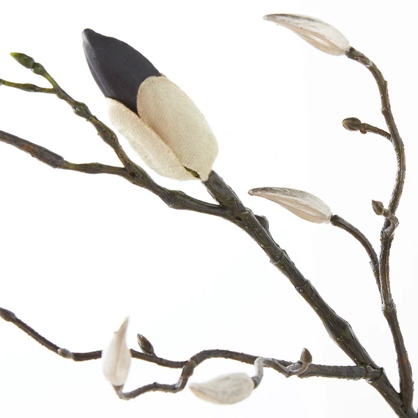 Magnolia Spray - Set Of 3 - Image 3